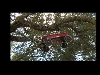 [video]