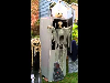 [video]