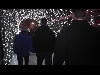 [video]