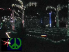 [video]
