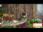 [video]